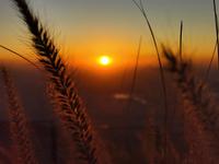 Abschied von der Wüste und den Emiraten