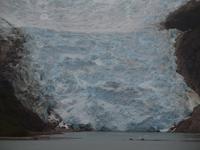 Beagle Kanal - Italia Gletscher