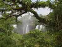 Iguazu Wasserfälle, Argentinien