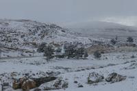 Winterlandschaft in den Höhen von Petra
