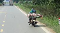 Schweinetransport auf Vietnamesisch