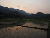 Reisfelder in Mai Chau