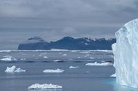 Eisberge und Eisschollen im Antarctic Sound