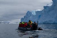 Eisberge und Eisschollen im Antarctic Sound