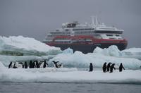 Bucht von Brown Bluff