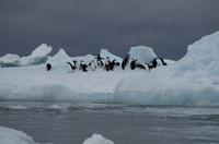 Bucht von Brown Bluff