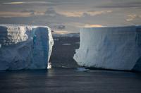 Eisberge im Friedjov Sound 