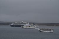 Willkommen auf den Falkland Inseln