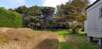 Falkland Inseln - Carcass Island