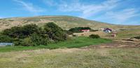 Falkland Inseln - Carcass Island