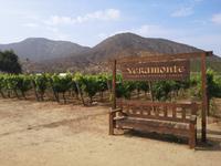 Auf dem Weg nach San Antonio