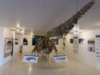 Puerto Madryn - Halbinsel Valdes, Besucherzentrum