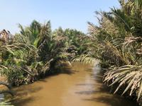 Mekong Delta Vietnam