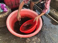 Markt im Mekong Delta Vietnam