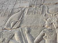 Inschrift der Kopten in Griechischer Sprache Philae Tempel