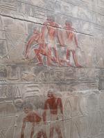 Reliefs Ober und Unterägypter Kagimni Grab