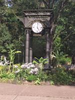 Uhr im Orchideengarten