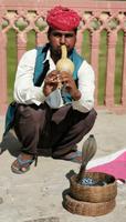Schlangenbeschwörer in Jaipur am Amber Fort