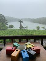 Blick aus dem alten Kolonialhaus auf Teefelder und den Kratersee