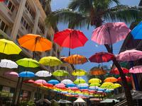 Wo waren die Regenschirme gestern bitte?