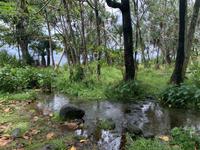 ... heißt Bucht mit Wasserfällen