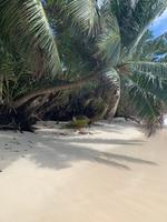 Anse Lazio auf Praslin