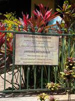 Besuch des Botanischen Gartens in Victoria