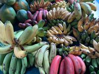 Marktbesuch in Victoria - alles Banane!