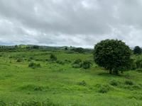 Landschaft Madagaskar