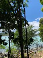 Suchbild - Madagaskar