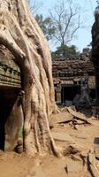Ta Prohm