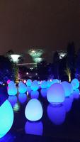 Gardens by the Bay by night (5)