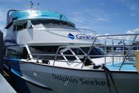 Bootstour Bay of Islands