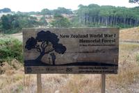 Wanderung Cathedral Cove (3)