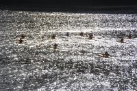 Kajak fahren am Nachmittag