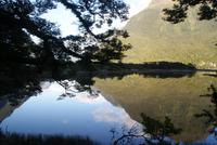 Morgenimpressionen am Milford Sound (2)