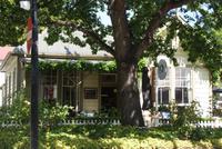 Goldgräberstadt Arrowtown (2)