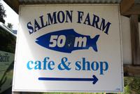 Salmon Farm Café