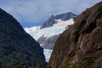 Franz Josef Gletscher