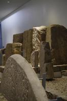 Museum Monte Alban