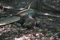 Museumspark La Venta