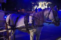 Merida - Kutschfahrt