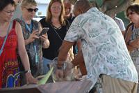 Aloe Vera Farm- Aruba (4)