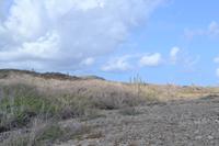 Atlantik Küste Curacao (2)