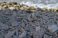 karibische Küste Bonaire (2)