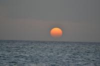 Katamaranfahrt Barbados (12)