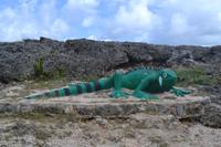 Landschaftsfahrt über Curacao (1)