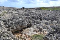 Landschaftsfahrt über Curacao (2)