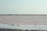 Salzanlage Bonaire (1)