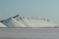 Salzanlage Bonaire (3)